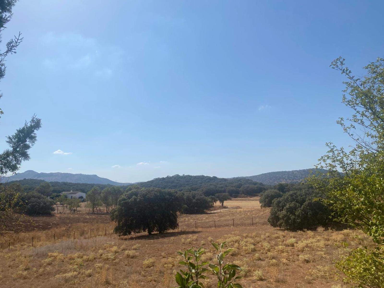 Casa Rural El Contarin - An Andalusian Escape, Archidona, Malaga Esterno foto