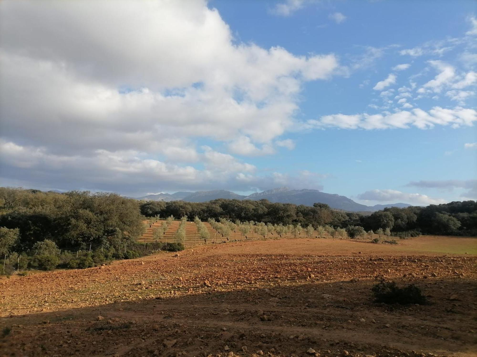 Casa Rural El Contarin - An Andalusian Escape, Archidona, Malaga Esterno foto